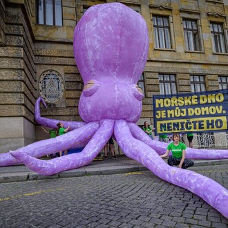 Chobotnice šeříková