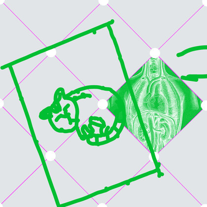 The Inspirational Yoga of European Balance