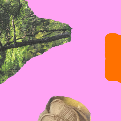 Forest As a Source of Life and Politics