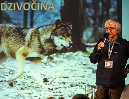 Forest Protection as a Path For Everyone