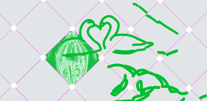 The Heart and Love